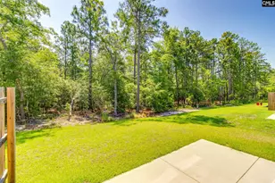 312 Reedmace Ct, Lexington, SC 29072 - Photo 28