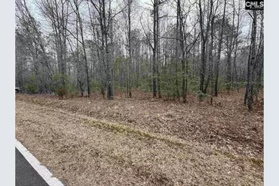 1644 Pincushion Road, Columbia, SC 29209 - Photo 2