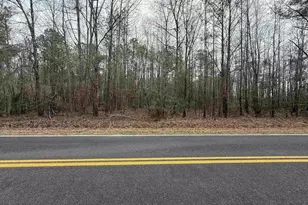 1644 Pincushion Rd, Columbia, SC 29209 - Photo 1