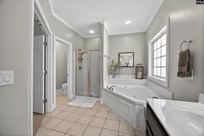 209 Winding Oak Way, Blythewood, SC 29016 - Photo 48