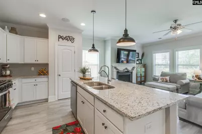 415 Saylor Hall Lane, Chapin, SC 29036 - Photo 8