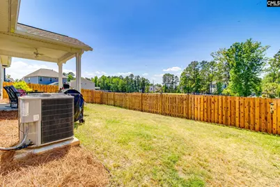 415 Saylor Hall Lane, Chapin, SC 29036 - Photo 30