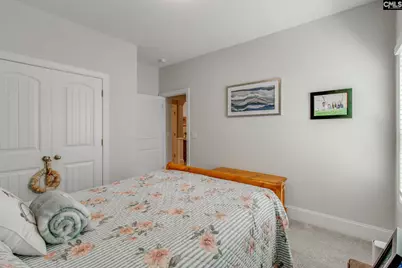 415 Saylor Hall Lane, Chapin, SC 29036 - Photo 24