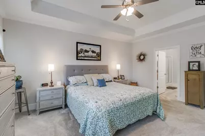 415 Saylor Hall Lane, Chapin, SC 29036 - Photo 16