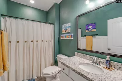 415 Saylor Hall Lane, Chapin, SC 29036 - Photo 22