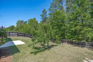 183 Mesa Verde Dr, Lexington, SC 29073 - Photo 30