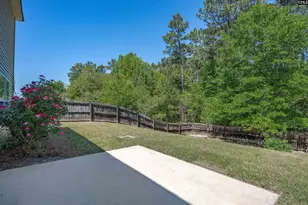 183 Mesa Verde Dr, Lexington, SC 29073 - Photo 32