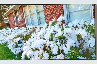 1515 Rushmore Road, Columbia, SC 29210 - Photo 52