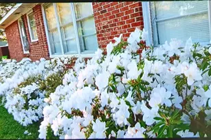 1515 Rushmore Rd, Columbia, SC 29210 - Photo 52