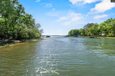 414 Wood Willow Point, Chapin, SC 29036 - Photo 4