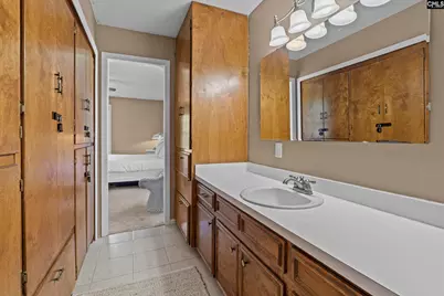 414 Wood Willow Point, Chapin, SC 29036 - Photo 20