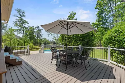 309 Holly Key Lane, Chapin, SC 29036 - Photo 48