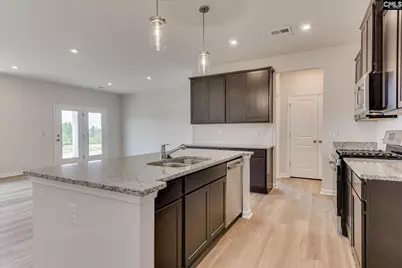 269 Summer Orchard Drive, Lexington, SC 29072 - Photo 4