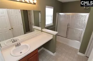5 Redbrush Ct, Chapin, SC 29036 - Photo 20
