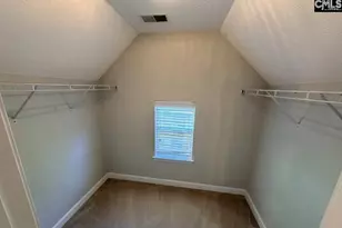 5 Redbrush Ct, Chapin, SC 29036 - Photo 20