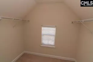 5 Redbrush Ct, Chapin, SC 29036 - Photo 32