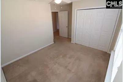 5 Redbrush Court, Chapin, SC 29036 - Photo 24