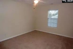 5 Redbrush Ct, Chapin, SC 29036 - Photo 34