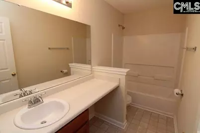 5 Redbrush Court, Chapin, SC 29036 - Photo 38