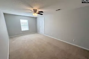 5 Redbrush Ct, Chapin, SC 29036 - Photo 22