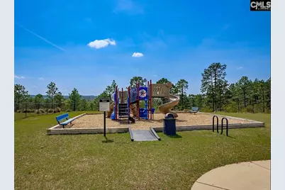 913 Tanreall Drive, Lexington, SC 29073 - Photo 34