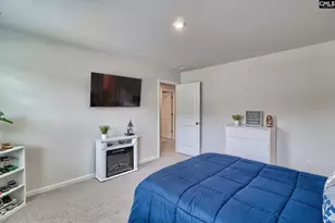 630 Basalt Ct, Chapin, SC 29036 - Photo 28