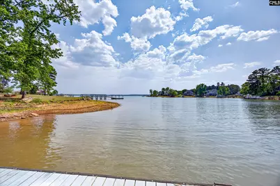 104 Turtle Point Court, Chapin, SC 29036 - Photo 50