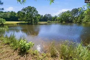 8969 US Hwy 76, Prosperity, SC 29127 - Photo 28