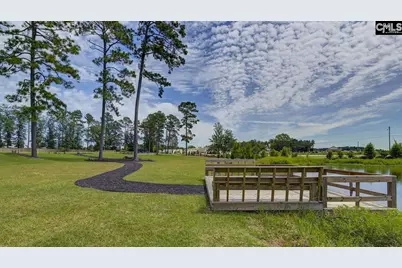198 Ruby Prince Road, Gilbert, SC 29054 - Photo 26