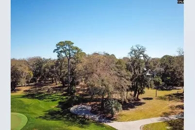18 Tabby Circle, Daufuskie Island, SC 29915 - Photo 8
