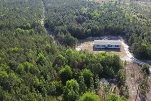 247 S Dixie Rd, Wagener, SC 29164 - Photo 28