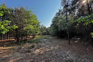 247 S Dixie Rd, Wagener, SC 29164 - Photo 8
