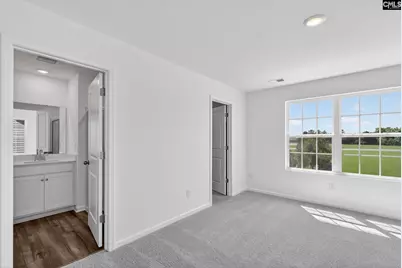 773 Ben Gunn Run, Gilbert, SC 29054 - Photo 28