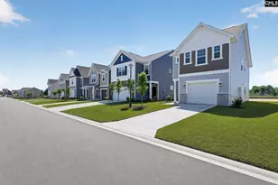 785 Ben Gunn Run, Gilbert, SC 29054 - Photo 2