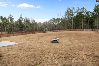 635 Rose Quartz Lane, Lexington, SC 29073 - Photo 28
