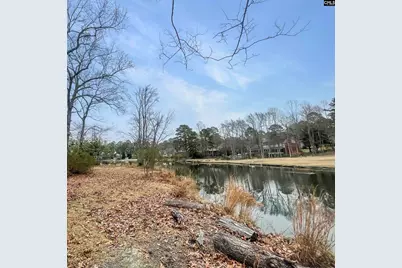 116 Fishers Shore Road, Columbia, SC 29223 - Photo 42