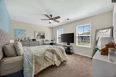 436 Maria Posada Ct, Chapin, SC 29036 - Photo 48