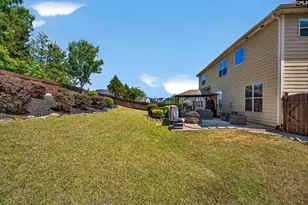 436 Maria Posada Ct, Chapin, SC 29036 - Photo 66