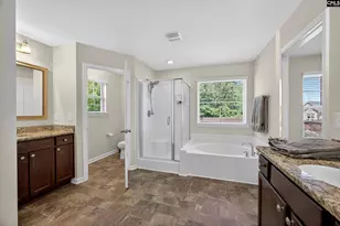 436 Maria Posada Ct, Chapin, SC 29036 - Photo 58