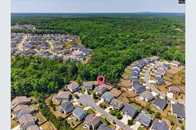 436 Maria Posada Ct, Chapin, SC 29036 - Photo 6