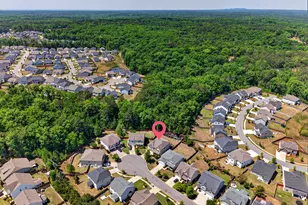 436 Maria Posada Ct, Chapin, SC 29036 - Photo 6