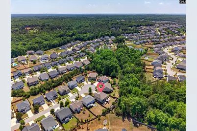 436 Maria Posada Ct, Chapin, SC 29036 - Photo 4