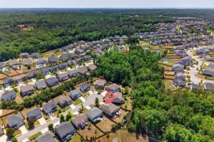 436 Maria Posada Ct, Chapin, SC 29036 - Photo 4