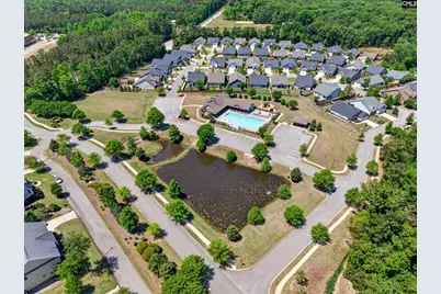 436 Maria Posada Ct, Chapin, SC 29036 - Photo 68