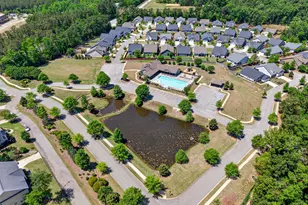 436 Maria Posada Ct, Chapin, SC 29036 - Photo 68