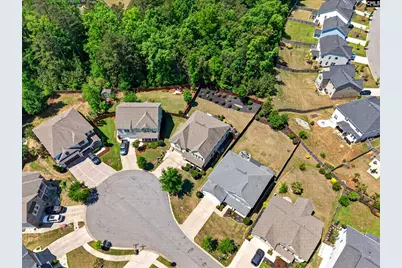 436 Maria Posada Ct, Chapin, SC 29036 - Photo 10