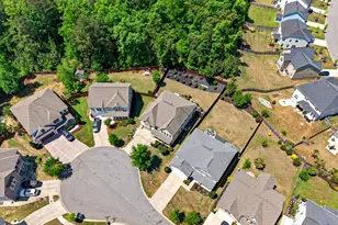 436 Maria Posada Ct, Chapin, SC 29036 - Photo 10