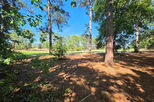 122 Creekside Cottage Ct, Blythewood, SC 29016 - Photo 32