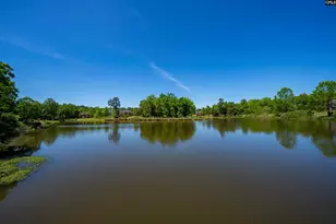 104 Lake Hilton Dr, Chapin, SC 29036 - Photo 12