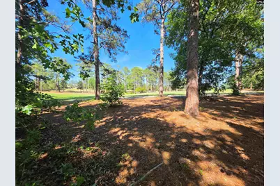 124 Creekside Cottage Court, Blythewood, SC 29016 - Photo 6